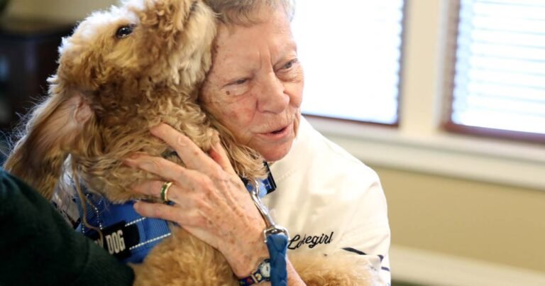 Barky Supplies Expert Tips Therapy dog promotes stress relief at Geneva senior living community – Shaw Local Q6AEXDDTXZGBVPIJ5CFAHMDC7E Barky Supplies Expert Tips