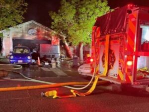 imengine.prod .srp .navigacloud.com Barky Supplies Expert Tips