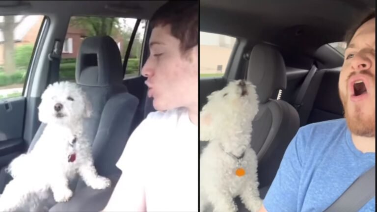 Barky Supplies Expert Tips Man Recreates Viral 10-Year-Old Video with Pet Dog - Watch the Heartwarming Recreation untitled design 2023 05 19t115147.144 sixteen nine Barky Supplies Expert Tips