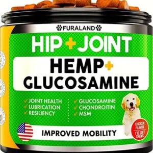dog supplements for joints