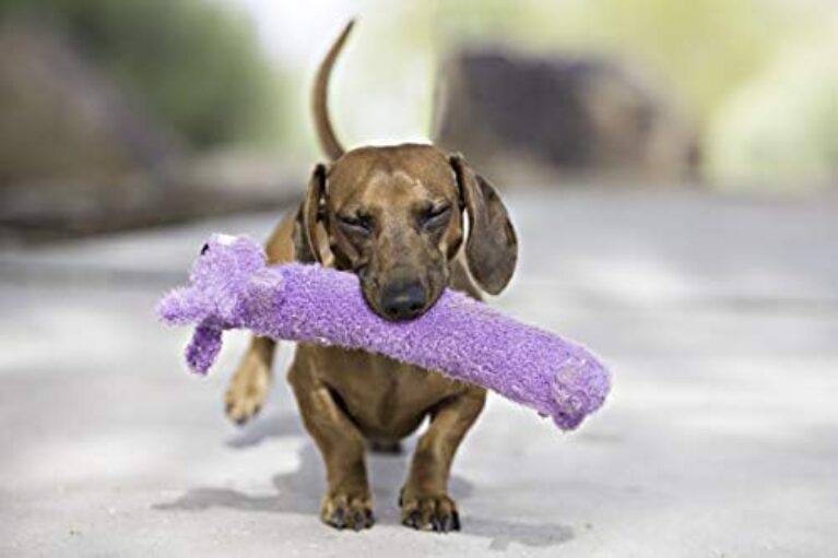 about-us-learn-who-we-are-what-we-do/