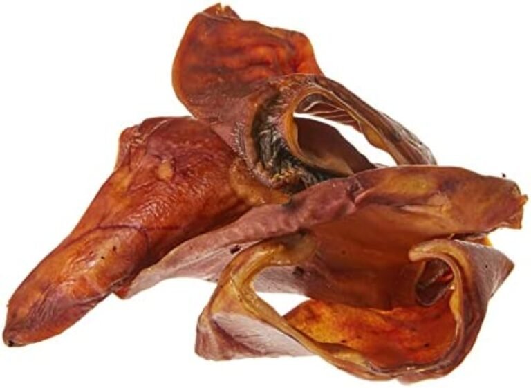 41EJkqAN3JL._AC_.jpg Amazon Brand – Wonder Bound Pig Ears Dog Treats, Pork, Pack of 6