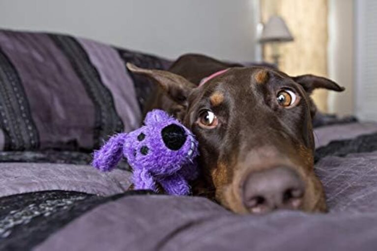 Multipet Original Loofa Dog 12 - Durable Plush Toy for Dogs | Multipet