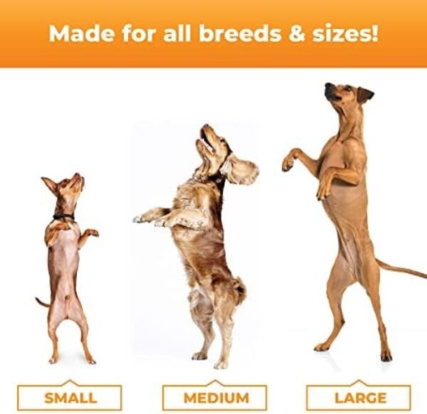 41VJxEFxPzL._AC_.jpg Glycoflex 3: Best Hip and Joint Supplement for Dogs - Vet Recommended