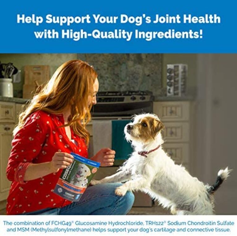 Nutramax Cosequin Maximum Strength Joint Health Supplement for Dogs - Promote Joint Mobility & Health