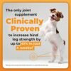 512oCjaAf0L._AC_.jpg Glycoflex 3: Best Hip and Joint Supplement for Dogs - Vet Recommended