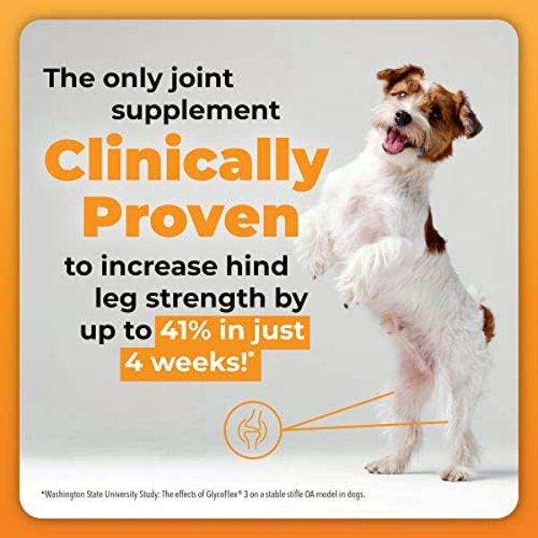 512oCjaAf0L._AC_.jpg Glycoflex 3: Best Hip and Joint Supplement for Dogs - Vet Recommended
