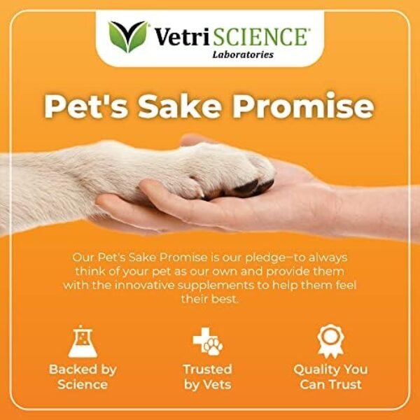 518HhoDa8L._AC_.jpg Glycoflex 3: Best Hip and Joint Supplement for Dogs - Vet Recommended