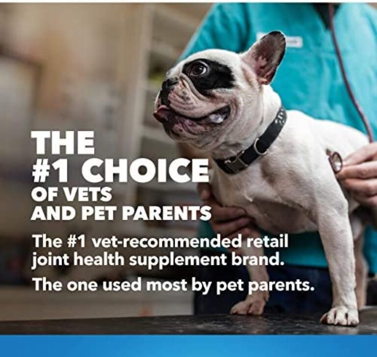 Nutramax Cosequin Maximum Strength Joint Health Supplement for Dogs - Promote Joint Mobility & Health