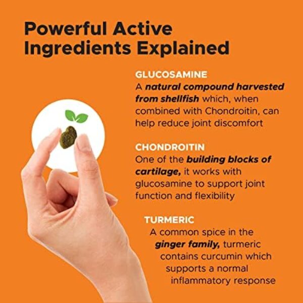 PetHonesty Hip & Joint Health: Best Dog Joint Supplement with Glucosamine, Chondroitin, MSM, and Turmeric