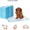 51FN8FChMlL._AC_.jpg Premium Amazon Basics Dog and Puppy Pee Pads - Pack of 80 | Reliable Potty Training Solution