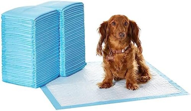 51GQHB-7yL._AC_.jpg Premium Amazon Basics Dog and Puppy Pee Pads - Pack of 80 | Reliable Potty Training Solution