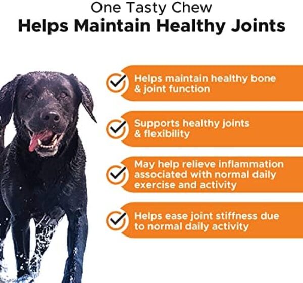 PetHonesty Hip & Joint Health: Best Dog Joint Supplement with Glucosamine, Chondroitin, MSM, and Turmeric