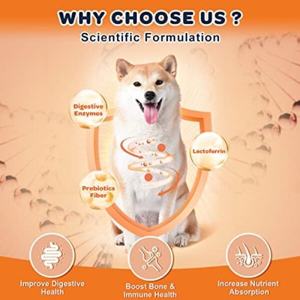 Glucosamine for Dogs - Joint Supplement for Optimal Mobility