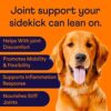 Enhance Your Dog's Joint Health with Finn Hip and Joint Supplement