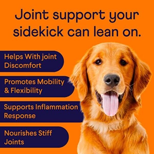 Enhance Your Dog's Joint Health with Finn Hip and Joint Supplement