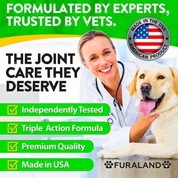 51N5rGEJZmL._AC_.jpg Premium Hemp Hip and Joint Supplement for Dogs | Natural Joint Support