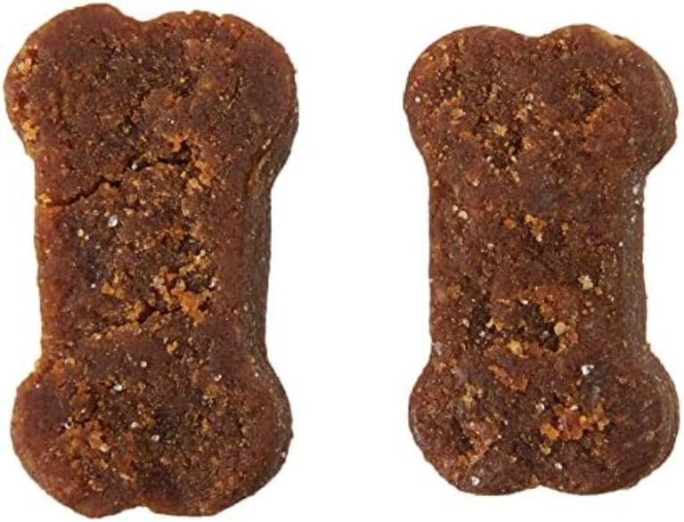 Wag Hip & Joint Soft Chews for Dogs - Boost Mobility | Mott Klee Foundation