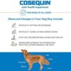 Nutramax Cosequin Maximum Strength Joint Health Supplement for Dogs - Promote Joint Mobility & Health