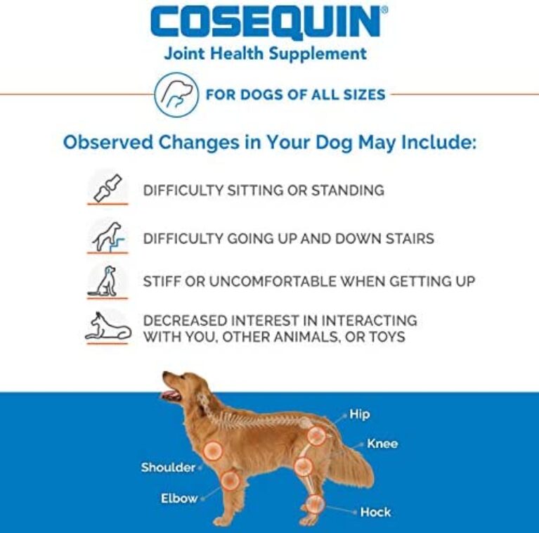 Nutramax Cosequin Maximum Strength Joint Health Supplement for Dogs - Promote Joint Mobility & Health