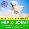51T2KDv5i4L._AC_.jpg Premium Hemp Hip and Joint Supplement for Dogs | Natural Joint Support