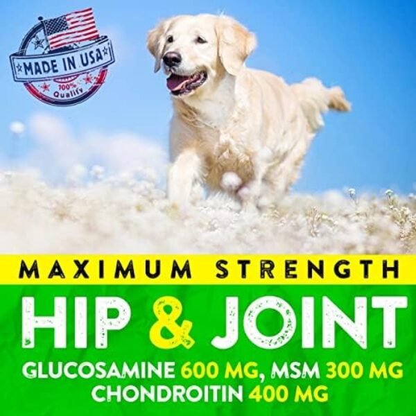 51T2KDv5i4L._AC_.jpg Premium Hemp Hip and Joint Supplement for Dogs | Natural Joint Support