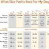 51d6guTP2UL._AC_.jpg Premium Amazon Basics Dog and Puppy Pee Pads - Pack of 80 | Reliable Potty Training Solution