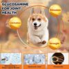 Glucosamine for Dogs - Joint Supplement for Optimal Mobility