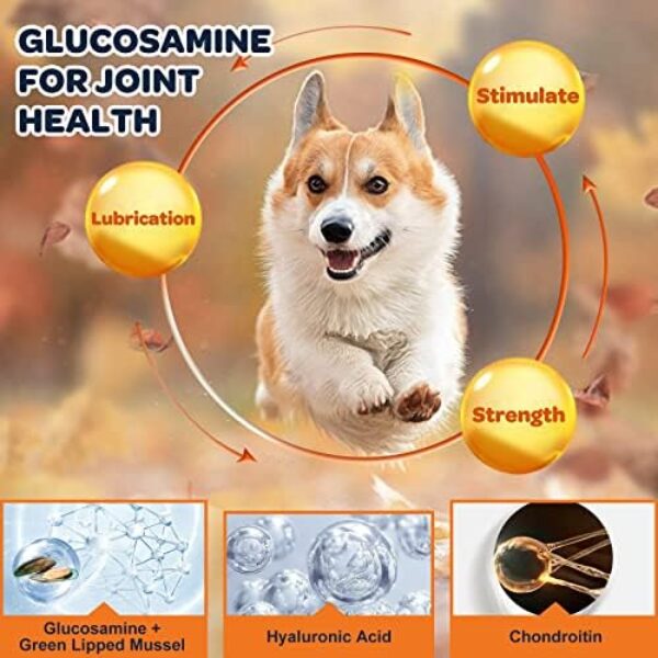 Glucosamine for Dogs - Joint Supplement for Optimal Mobility