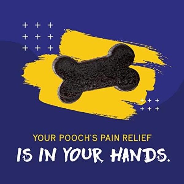 PupGrade Joint Support Supplement for Dogs - Natural Pain Relief