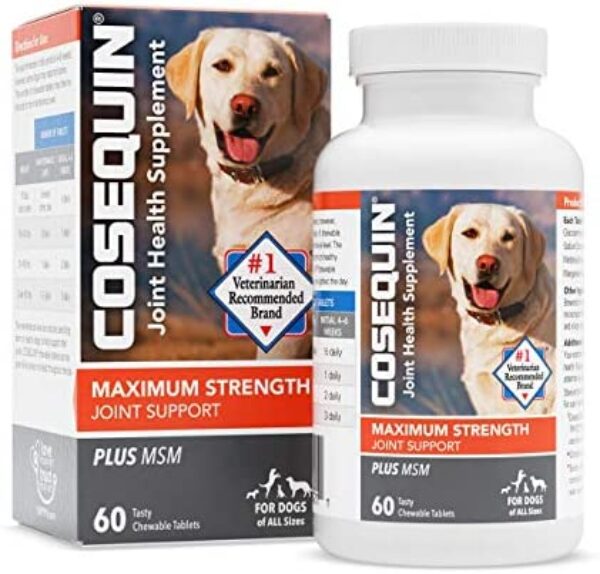 dog supplements for joints