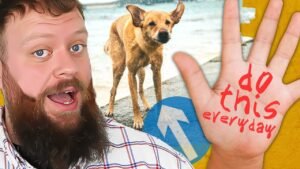 1690147752 maxresdefault Barky Supplies Expert Tips