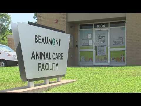 Barky Supplies Expert Tips Houston Team Assists Beaumont Animal Care Shelter 1690523289 hqdefault Barky Supplies Expert Tips