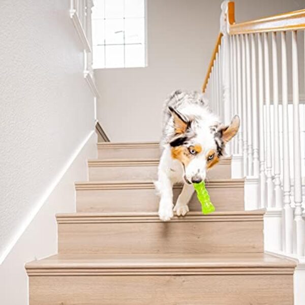 Hyper Pet Dura-Squeaks Stick Dog Toy - Durable and Interactive Medium-Sized Toy