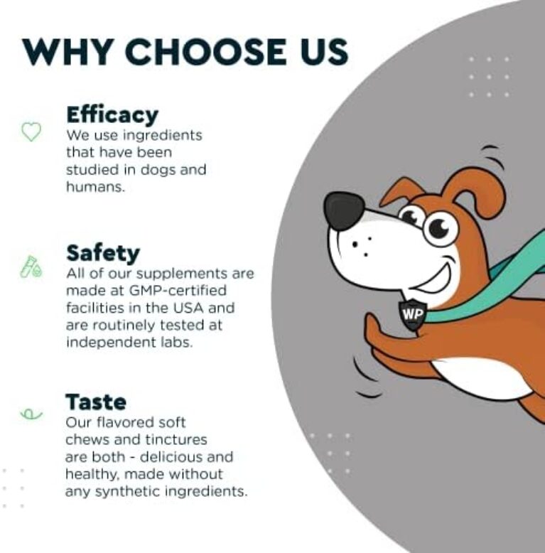 41XMhEusDRL._AC_.jpg Premium Liquid Glucosamine for Dogs: Joint Support Formula for Mobility