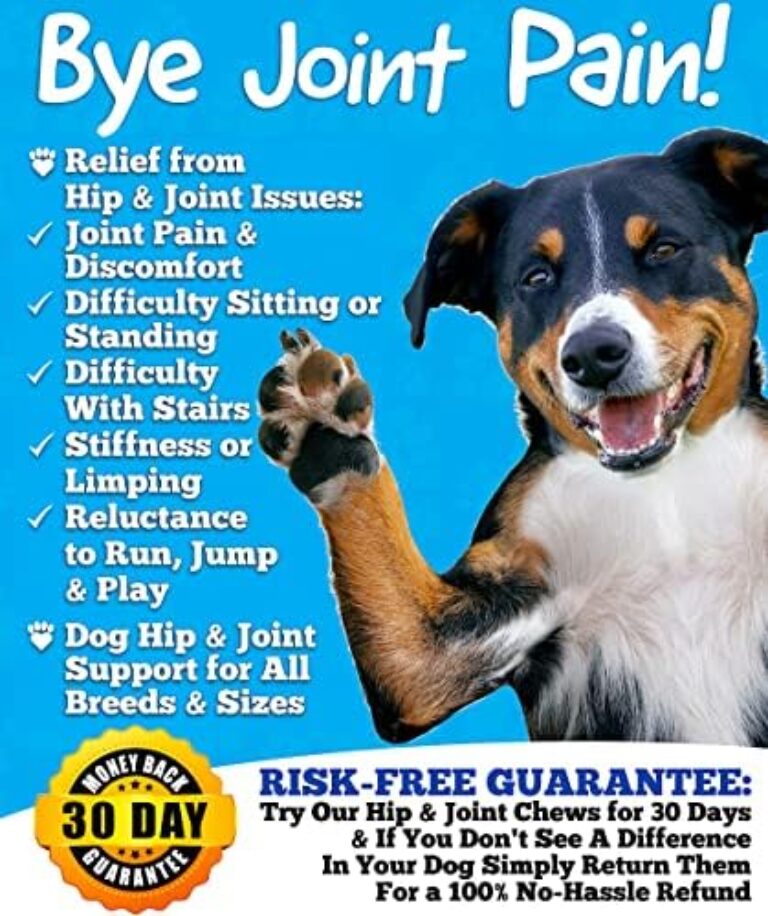 Premium Glucosamine Joint Supplement for Dogs - Made in USA | Buy Now