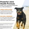 PetHonesty Senior Hemp Mobility - Hip & Joint Support for Senior Dogs (90 Chews)