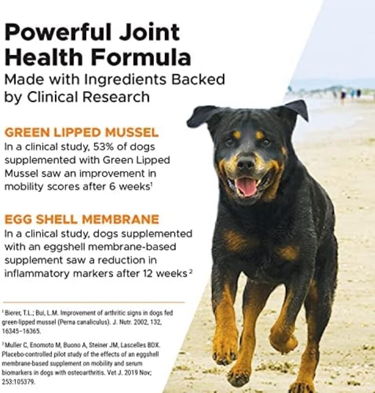 PetHonesty Senior Hemp Mobility - Hip & Joint Support for Senior Dogs (90 Chews)