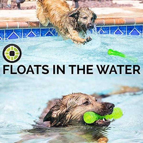 Hyper Pet Dura-Squeaks Stick Dog Toy - Durable and Interactive Medium-Sized Toy