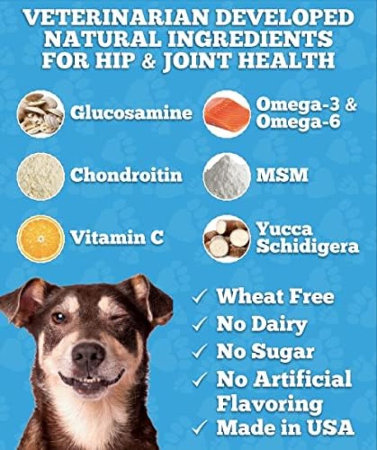 Premium Glucosamine Joint Supplement for Dogs - Made in USA | Buy Now