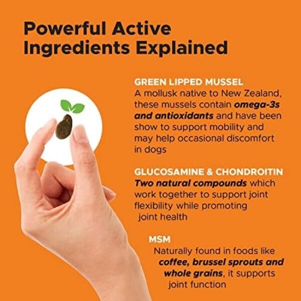 PetHonesty Senior Hemp Mobility - Hip & Joint Support for Senior Dogs (90 Chews)