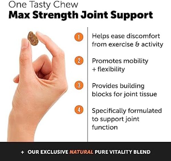 51e24VCyCmL._AC_.jpg PetHonesty Hip & Joint Health Max Strength - Natural Joint Supplement with Glucosamine, Omega-3s, Chondroitin, Green Lipped Mussel - Dog Chews Help Improve Mobility, May Reduce Discomfort (90 ct)