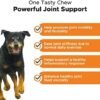 PetHonesty Senior Hemp Mobility - Hip & Joint Support for Senior Dogs (90 Chews)