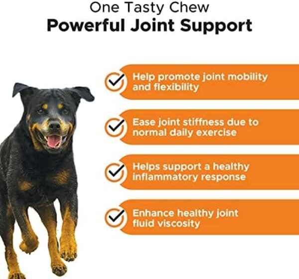 PetHonesty Senior Hemp Mobility - Hip & Joint Support for Senior Dogs (90 Chews)