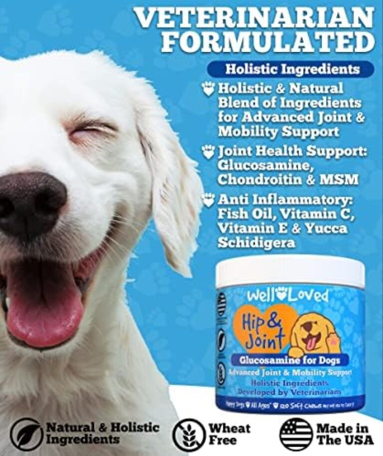 Premium Glucosamine Joint Supplement for Dogs - Made in USA | Buy Now