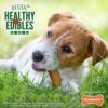 61G5j3L7xIL._AC_.jpg Nylabone Healthy Edibles All-Natural Long Lasting Bacon Flavor Chew Treats 1 Count Bacon Small/Regular