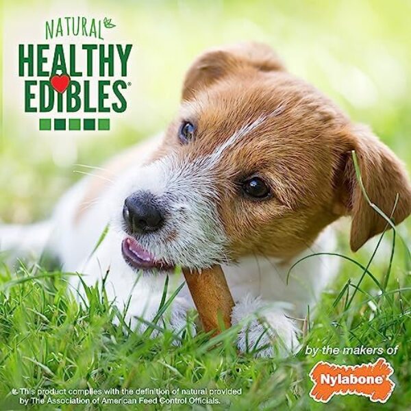 61G5j3L7xIL._AC_.jpg Nylabone Healthy Edibles All-Natural Long Lasting Bacon Flavor Chew Treats 1 Count Bacon Small/Regular