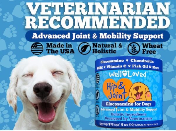 Premium Glucosamine Joint Supplement for Dogs - Made in USA | Buy Now
