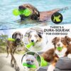 Hyper Pet Dura-Squeaks Stick Dog Toy - Durable and Interactive Medium-Sized Toy