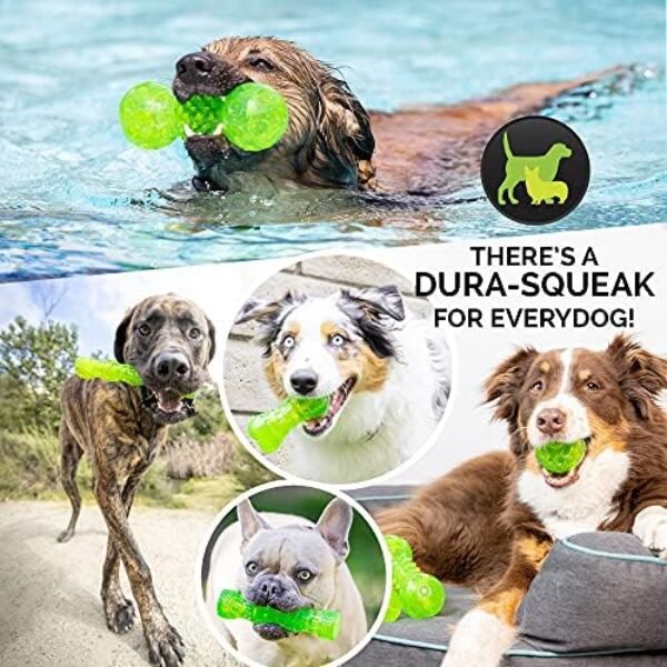 Hyper Pet Dura-Squeaks Stick Dog Toy - Durable and Interactive Medium-Sized Toy